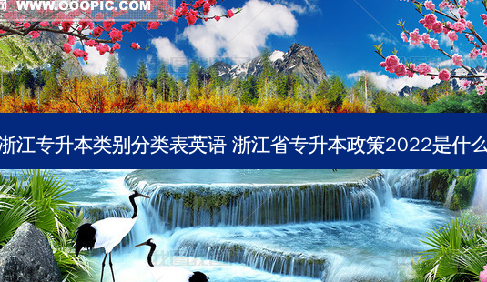 浙江专升本类别分类表英语 浙江省专升本政策2022是什么-第1张图片-天智网 浙江专升本类别分类表英语 浙江省专升本政策2022是什么-第1张图片-天智网