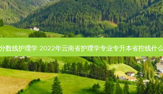 云南专升本分数线护理学 2022年云南省护理学专业专升本省控线什么时候出结果-第1张图片-天智网 云南专升本分数线护理学 2022年云南省护理学专业专升本省控线什么时候出结果-第1张图片-天智网