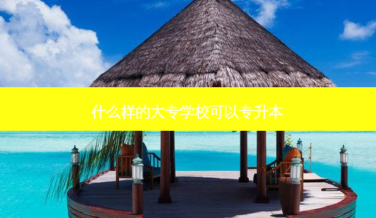 什么样的大专学校可以专升本-第1张图片-天智网 什么样的大专学校可以专升本-第1张图片-天智网