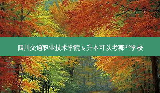 四川交通职业技术学院专升本可以考哪些学校-第1张图片-天智网 四川交通职业技术学院专升本可以考哪些学校-第1张图片-天智网