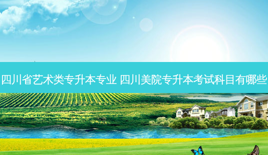 四川省艺术类专升本专业 四川美院专升本考试科目有哪些-第1张图片-天智网 四川省艺术类专升本专业 四川美院专升本考试科目有哪些-第1张图片-天智网