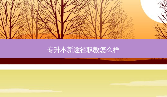 专升本新途径职教怎么样-第1张图片-天智网 专升本新途径职教怎么样-第1张图片-天智网