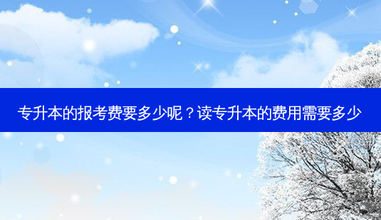 专升本的报考费要多少呢?读专升本的费用需要多少-第1张图片-天智网 专升本的报考费要多少呢?读专升本的费用需要多少-第1张图片-天智网