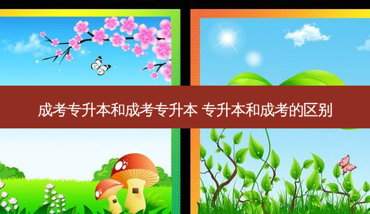 成考专升本和成考专升本 专升本和成考的区别-第1张图片-天智网 成考专升本和成考专升本 专升本和成考的区别-第1张图片-天智网