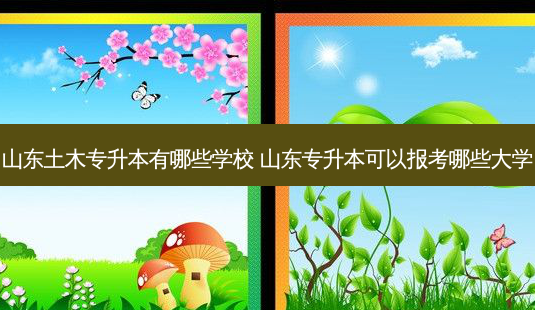 山东土木专升本有哪些学校 山东专升本可以报考哪些大学-第1张图片-天智网 山东土木专升本有哪些学校 山东专升本可以报考哪些大学-第1张图片-天智网