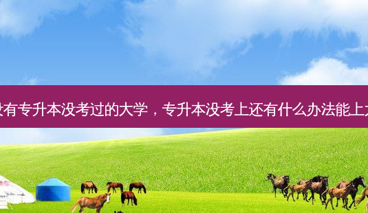 有没有专升本没考过的大学，专升本没考上还有什么办法能上大学-第1张图片-汇成专升本网