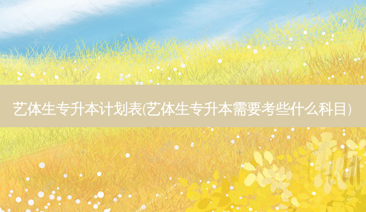 艺体生专升本计划表(艺体生专升本需要考些什么科目)-第1张图片-天智网 艺体生专升本计划表(艺体生专升本需要考些什么科目)-第1张图片-天智网