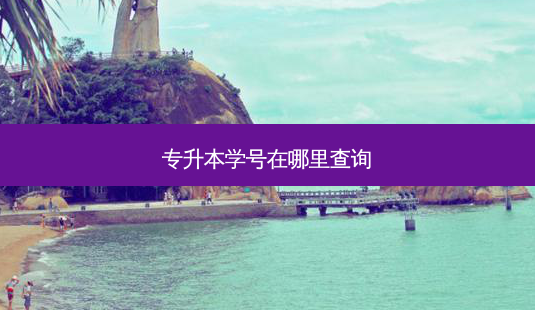 专升本学号在哪里查询-第1张图片-天智网 专升本学号在哪里查询-第1张图片-天智网