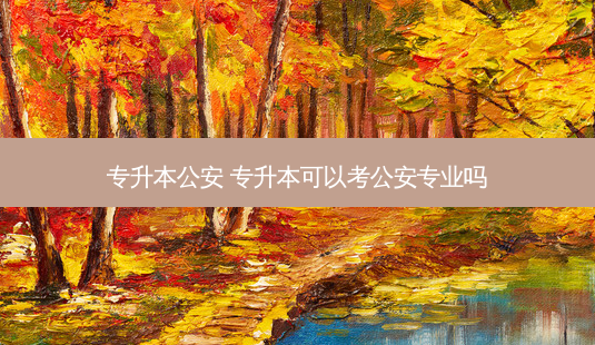 专升本公安 专升本可以考公安专业吗-第1张图片-天智网 专升本公安 专升本可以考公安专业吗-第1张图片-天智网