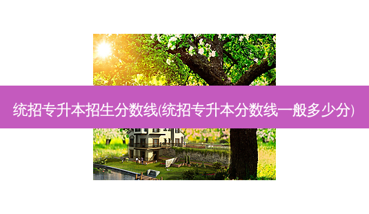 统招专升本招生分数线(统招专升本分数线一般多少分)-第1张图片-天智网 统招专升本招生分数线(统招专升本分数线一般多少分)-第1张图片-天智网