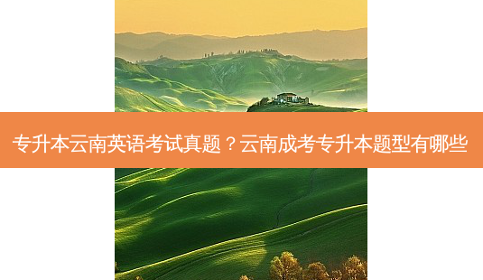 专升本云南英语考试真题?云南成考专升本题型有哪些-第1张图片-天智网 专升本云南英语考试真题?云南成考专升本题型有哪些-第1张图片-天智网