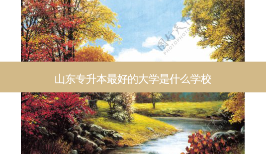 山东专升本 *** 好的大学是什么学校-第1张图片-天智网 山东专升本 *** 好的大学是什么学校-第1张图片-天智网