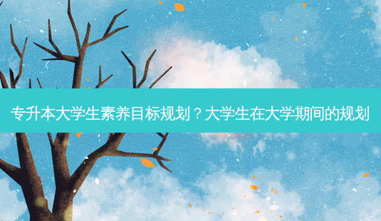 专升本大学生素养目标规划?大学生在大学期间的规划-第1张图片-天智网 专升本大学生素养目标规划?大学生在大学期间的规划-第1张图片-天智网