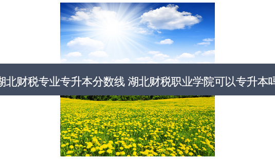 湖北财税专业专升本分数线 湖北财税职业学院可以专升本吗-第1张图片-天智网 湖北财税专业专升本分数线 湖北财税职业学院可以专升本吗-第1张图片-天智网