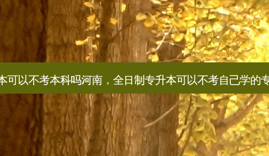 专升本可以不考本科吗河南，全日制专升本可以不考自己学的专业吗-第1张图片-汇成专升本网