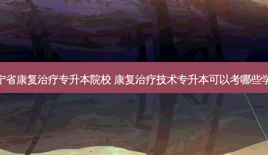 辽宁省康复治疗专升本院校 康复治疗技术专升本可以考哪些学校-第1张图片-汇成专升本网