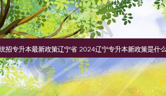 统招专升本 *** 新政策辽宁省 2024辽宁专升本新政策是什么-第1张图片-汇成专升本网