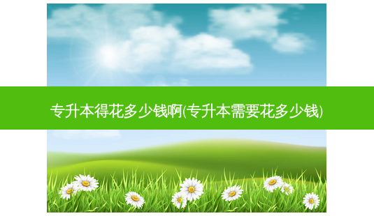 专升本得花多少钱啊(专升本需要花多少钱)-第1张图片-天智网 专升本得花多少钱啊(专升本需要花多少钱)-第1张图片-天智网