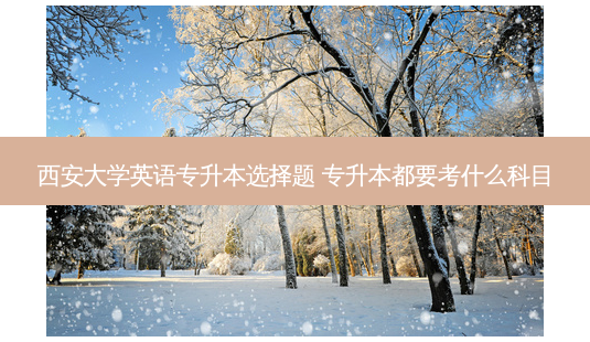 西安大学英语专升本选择题 专升本都要考什么科目-第1张图片-天智网 西安大学英语专升本选择题 专升本都要考什么科目-第1张图片-天智网