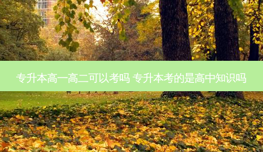 专升本高一高二可以考吗 专升本考的是高中知识吗-第1张图片-天智网 专升本高一高二可以考吗 专升本考的是高中知识吗-第1张图片-天智网