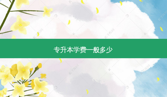 专升本学费一般多少-第1张图片-天智网 专升本学费一般多少-第1张图片-天智网