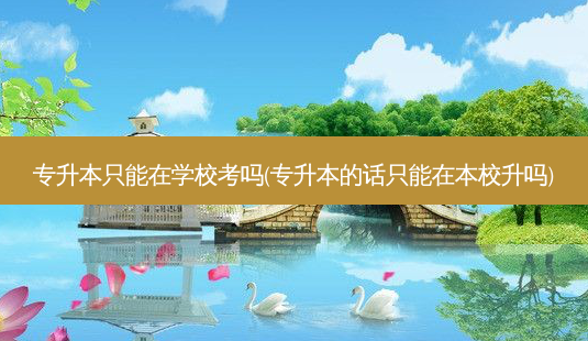 专升本只能在学校考吗(专升本的话只能在本校升吗)-第1张图片-天智网 专升本只能在学校考吗(专升本的话只能在本校升吗)-第1张图片-天智网