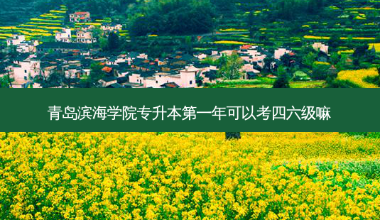 青岛滨海学院专升本之一年可以考四六级嘛-第1张图片-天智网 青岛滨海学院专升本之一年可以考四六级嘛-第1张图片-天智网