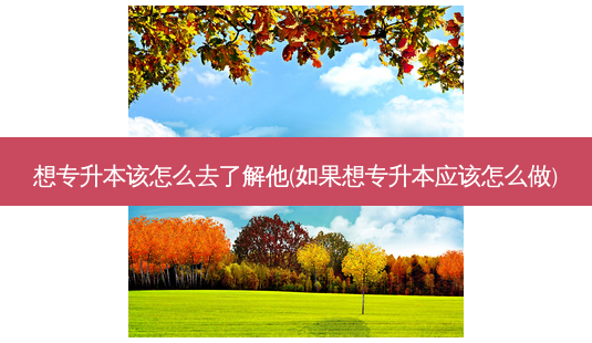 想专升本该怎么去了解他(如果想专升本应该怎么做)-第1张图片-天智网 想专升本该怎么去了解他(如果想专升本应该怎么做)-第1张图片-天智网