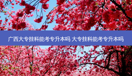广西大专挂科能考专升本吗 大专挂科能考专升本吗-第1张图片-天智网 广西大专挂科能考专升本吗 大专挂科能考专升本吗-第1张图片-天智网