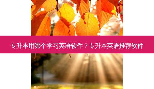 专升本用哪个学习英语软件?专升本英语推荐软件-第1张图片-天智网 专升本用哪个学习英语软件?专升本英语推荐软件-第1张图片-天智网