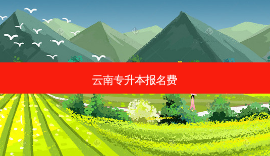 云南专升本报名费-第1张图片-天智网 云南专升本报名费-第1张图片-天智网