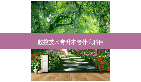 数控技术专升本考什么科目-第1张图片-天智网 数控技术专升本考什么科目-第1张图片-天智网