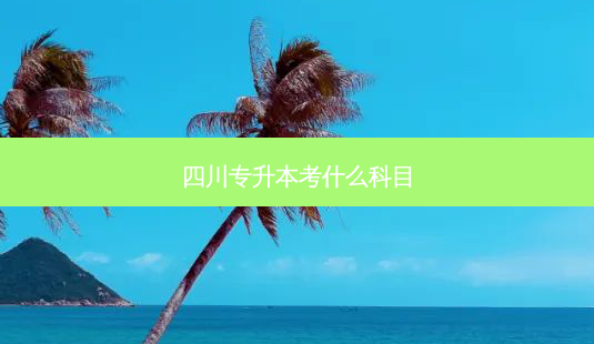 四川专升本考什么科目-第1张图片-天智网 四川专升本考什么科目-第1张图片-天智网