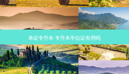 单证专升本 专升本学位证有用吗-第1张图片-天智网 单证专升本 专升本学位证有用吗-第1张图片-天智网