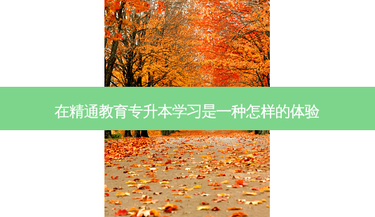 在精通教育专升本学习是一种怎样的体验-第1张图片-天智网 在精通教育专升本学习是一种怎样的体验-第1张图片-天智网