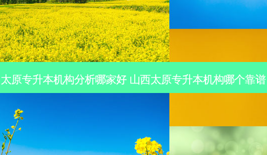 太原专升本机构分析哪家好 山西太原专升本机构哪个靠谱-第1张图片-天智网 太原专升本机构分析哪家好 山西太原专升本机构哪个靠谱-第1张图片-天智网