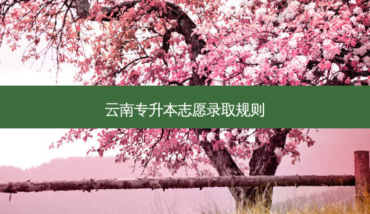 云南专升本志愿录取规则-第1张图片-天智网 云南专升本志愿录取规则-第1张图片-天智网