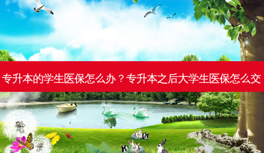 专升本的学生医保怎么办?专升本之后大学生医保怎么交-第1张图片-天智网 专升本的学生医保怎么办?专升本之后大学生医保怎么交-第1张图片-天智网