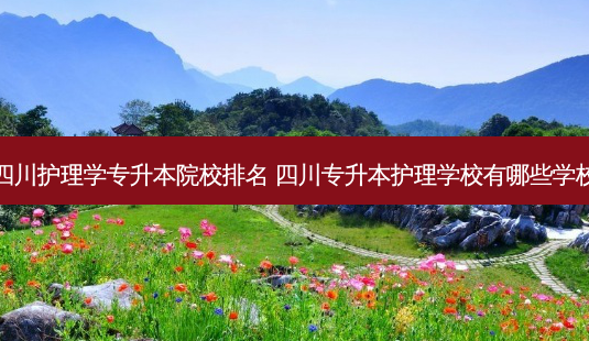 四川护理学专升本院校排名 四川专升本护理学校有哪些学校-第1张图片-天智网 四川护理学专升本院校排名 四川专升本护理学校有哪些学校-第1张图片-天智网