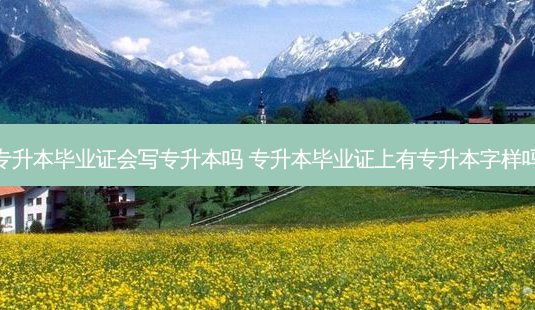 专升本毕业证会写专升本吗 专升本毕业证上有专升本字样吗-第1张图片-天智网 专升本毕业证会写专升本吗 专升本毕业证上有专升本字样吗-第1张图片-天智网