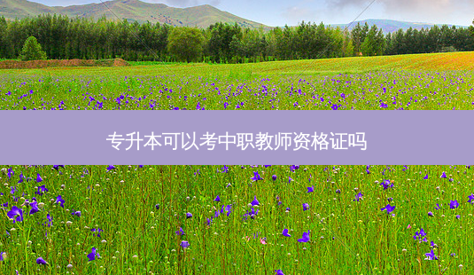 专升本可以考中职教师资格证吗-第1张图片-天智网 专升本可以考中职教师资格证吗-第1张图片-天智网
