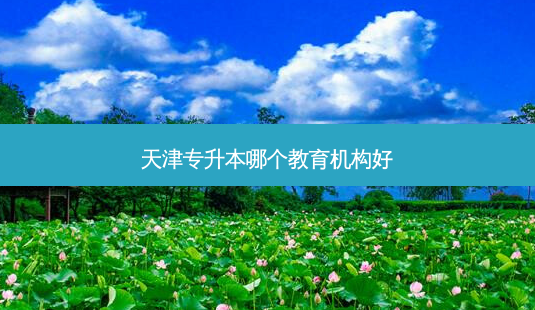 天津专升本哪个教育机构好-第1张图片-天智网 天津专升本哪个教育机构好-第1张图片-天智网
