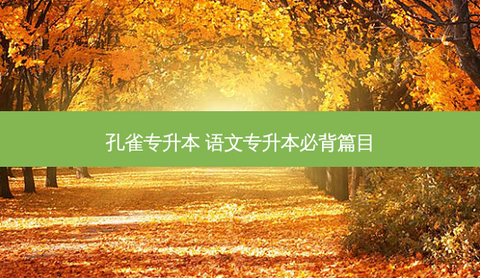 孔雀专升本 语文专升本必背篇目-第1张图片-天智网 孔雀专升本 语文专升本必背篇目-第1张图片-天智网