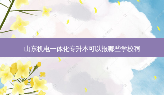 山东机电一体化专升本可以报哪些学校啊-第1张图片-天智网 山东机电一体化专升本可以报哪些学校啊-第1张图片-天智网