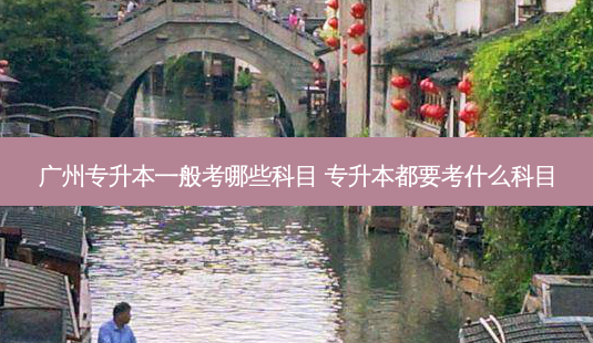 广州专升本一般考哪些科目 专升本都要考什么科目-第1张图片-天智网 广州专升本一般考哪些科目 专升本都要考什么科目-第1张图片-天智网