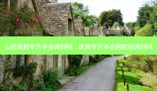 山西统招专升本会调剂吗,统招专升本会跨院校调剂吗-第1张图片-天智网 山西统招专升本会调剂吗,统招专升本会跨院校调剂吗-第1张图片-天智网