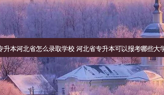 专升本河北省怎么录取学校 河北省专升本可以报考哪些大学-第1张图片-汇成专升本网