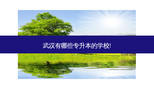 武汉有哪些专升本的学校!-第1张图片-天智网 武汉有哪些专升本的学校!-第1张图片-天智网
