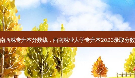 云南西林专升本分数线，西南林业大学专升本2023录取分数线-第1张图片-汇成专升本网