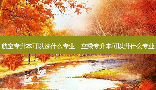 航空专升本可以选什么专业,空乘专升本可以升什么专业-第1张图片-天智网 航空专升本可以选什么专业,空乘专升本可以升什么专业-第1张图片-天智网